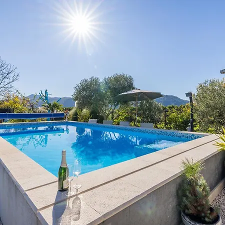 House With A Swimming Pool Opuzen, Neretva Delta - Usce Neretve - 8818 Vakantiehuis *