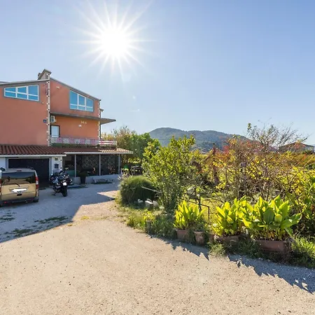 度假居 House With A Swimming Pool Opuzen, Neretva Delta - Usce Neretve - 8818 *